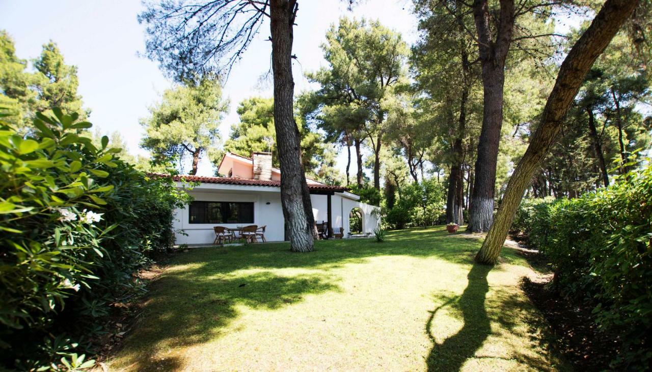 Villa Irini In Sani Sani  Exterior foto